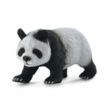 Giant Panda