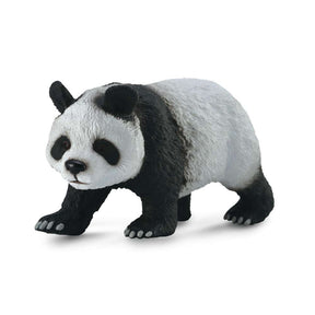 Giant Panda