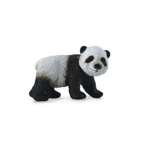 Giant Panda Cub Standing