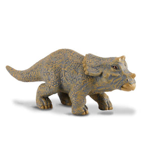 Triceratops Baby