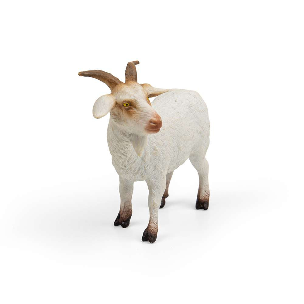 Billy Goat