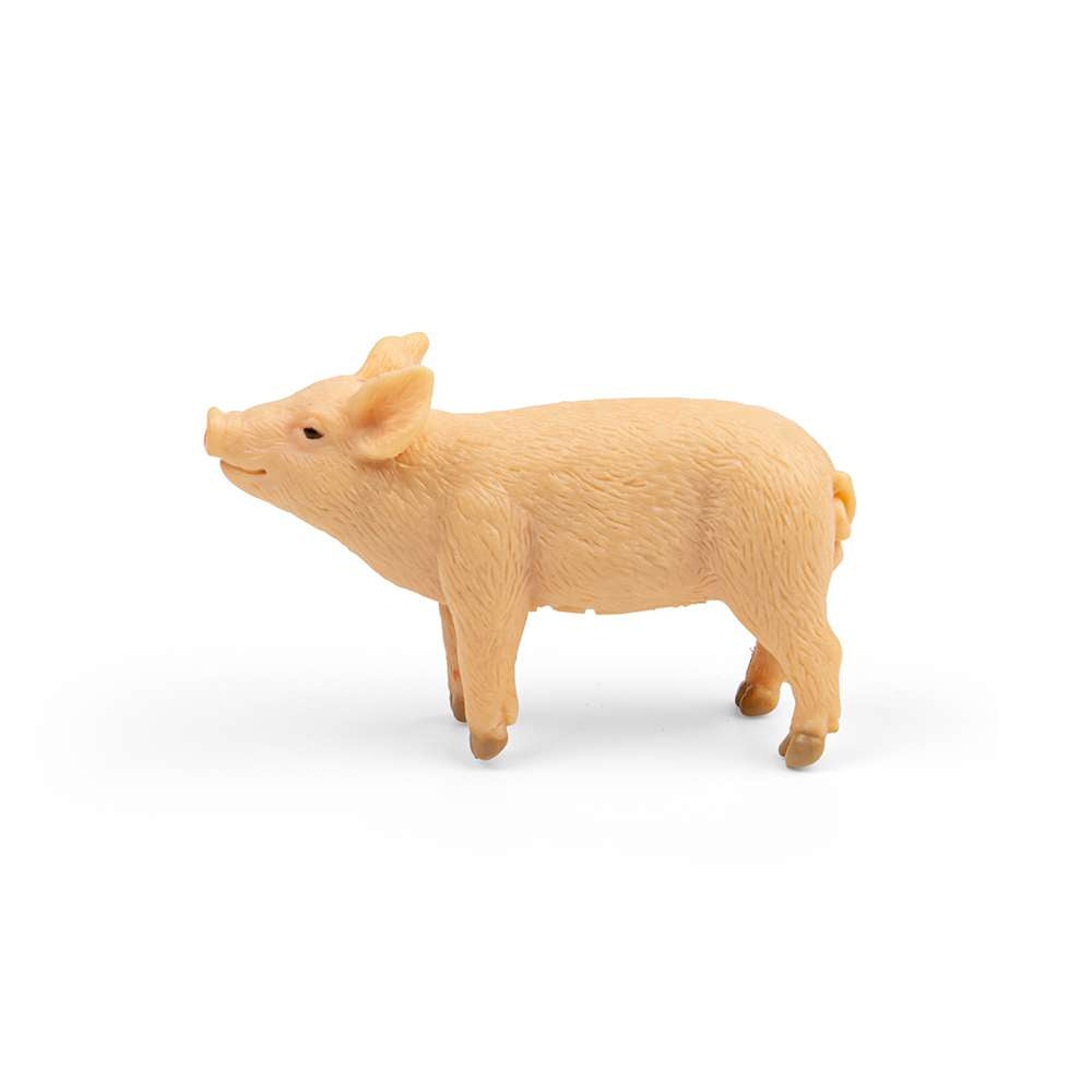 Piglet Smelling