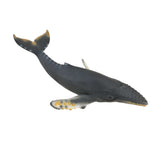 Humpback Whale