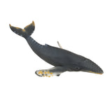 Humpback Whale