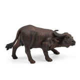 African Buffalo
