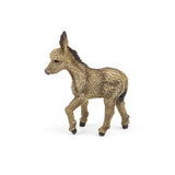 Donkey Foal Walking