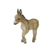 Donkey Foal Walking