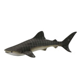 Whale Shark