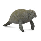 Manatee