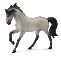 Andalusian Stallion Grey