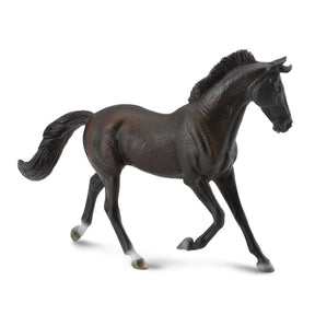 Thoroughbred Mare Black