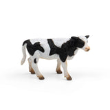 Friesian Calf Standing