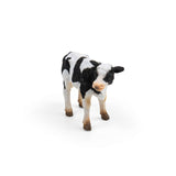 Friesian Calf Standing