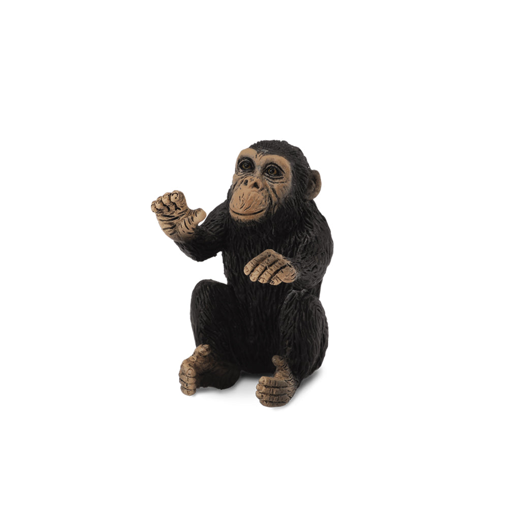 Chimpanzee Cub Hugging