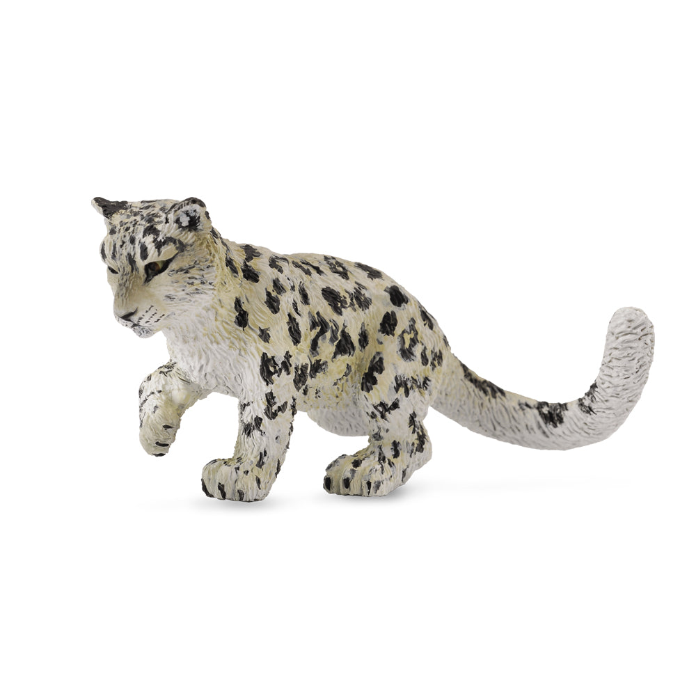 Snow Leopard Cub Playing