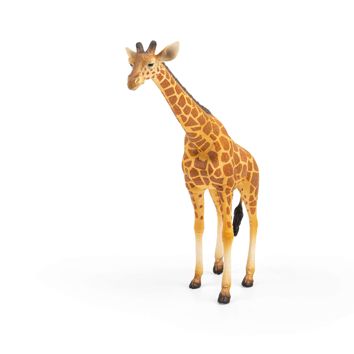 Reticulated Giraffe