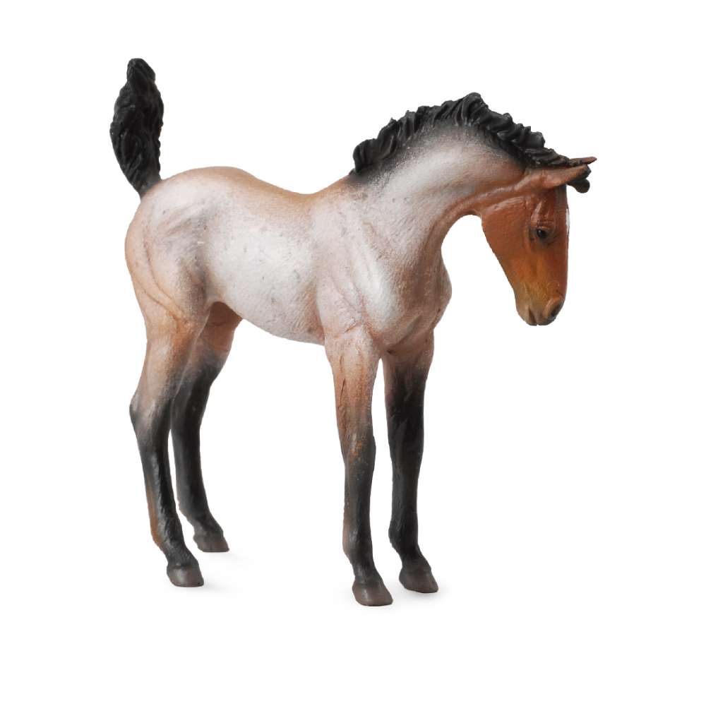 Mustang Foal Bay Roan