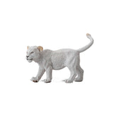 White Lion Cub Walking