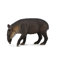 Baird'S Tapir