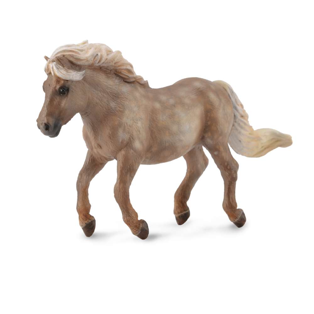 Shetland Pony Silver Dapple