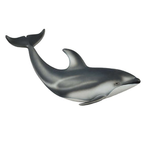 Pacific White Sided Dolphin