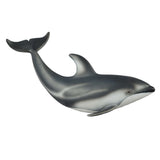 Pacific White Sided Dolphin