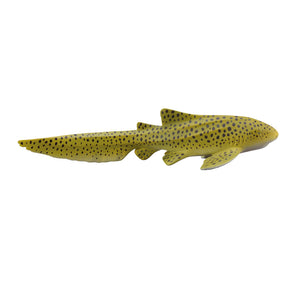 Zebra Shark