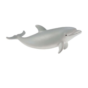 Bottlenose Dolphin Calf