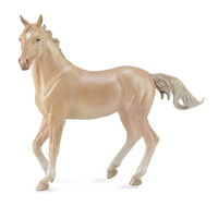 Akhal Teke Mare Perlino