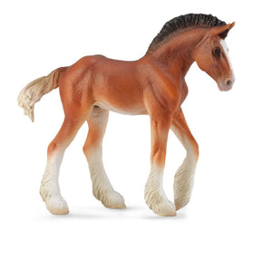 Clydesdale Foal Bay