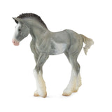 Clydesdale Foal Black Sabino Roan