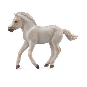 Fjord Foal Grey
