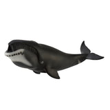 Bowhead Whale