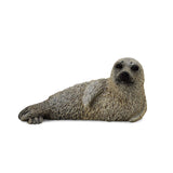 Spotted Seal Pup