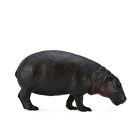 Pygmy Hippopotamus