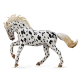 Knabstrupper Mare Black Leopard