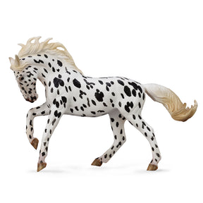 Knabstrupper Mare Black Leopard