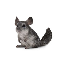 Long Tailed Chinchilla