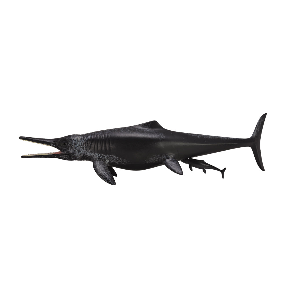 Temnodontosaurus Platyodon Birth