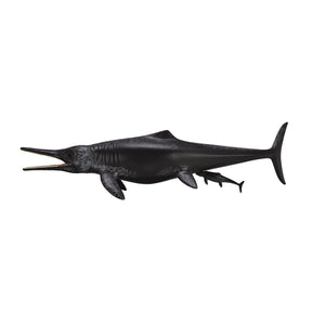 Temnodontosaurus Platyodon Birth