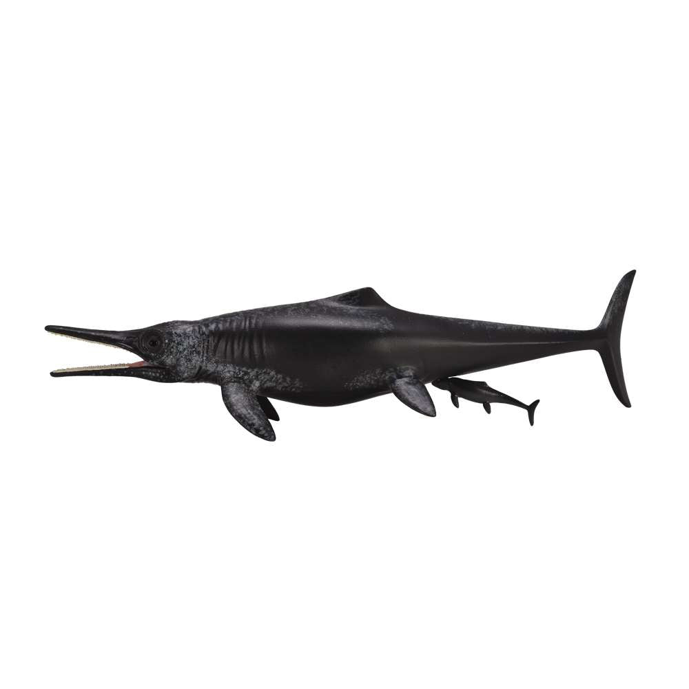 Temnodontosaurus Platyodon Birth