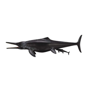 Temnodontosaurus Platyodon Birth