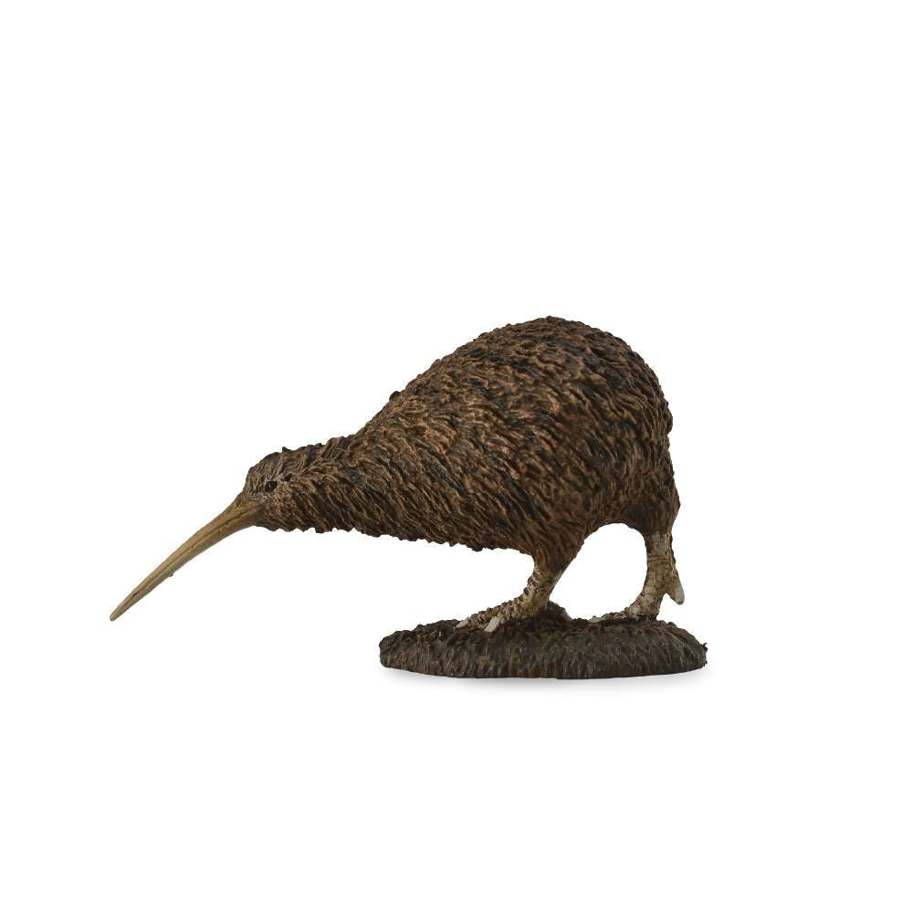 Kiwi