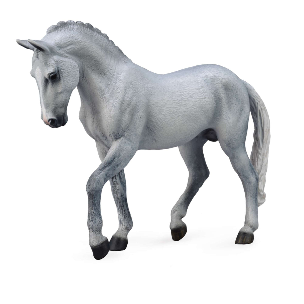 Trakehner Stallion Grey