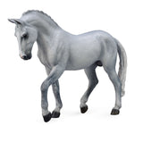 Trakehner Stallion Grey