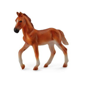 Peruvian Paso Foal Chestnut