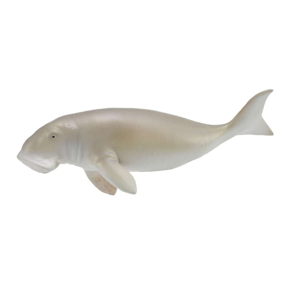 Dugong