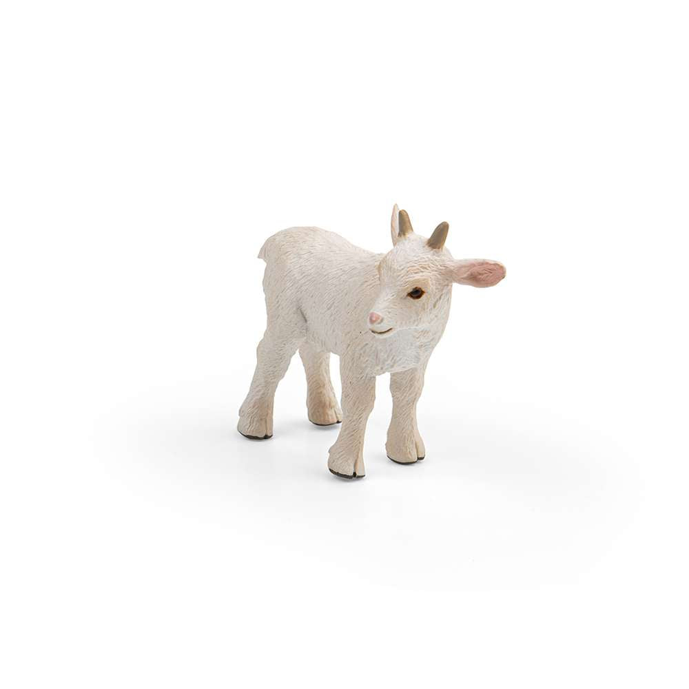 Goat Kid - Standing