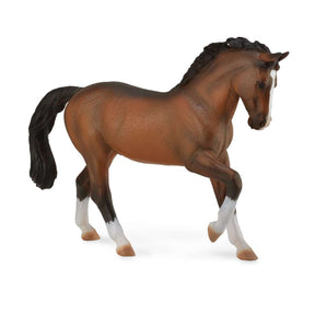 Warmblood Stallion - Bay