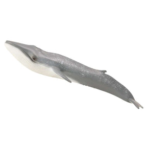 Blue Whale